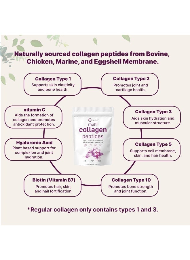 Micro Ingredients Multi Collagen Peptides Powder, 2 Pounds | Full Spectrum Type I, II, III, V, X + Biotin, Hyaluronic Acid, & Vitamin C | Unflavored | Keto & Paleo Friendly | Non-GMO - Image 3
