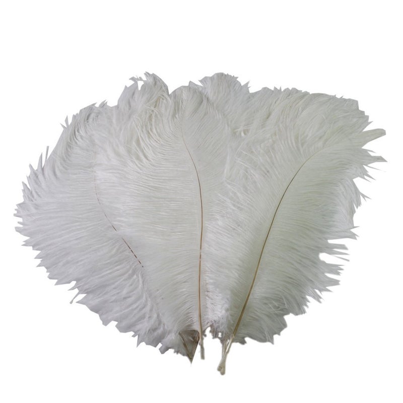 50pcs 1015cm Natural Home Decor Ostrich Feathers for Home Wedding Xmas Party Decoration White