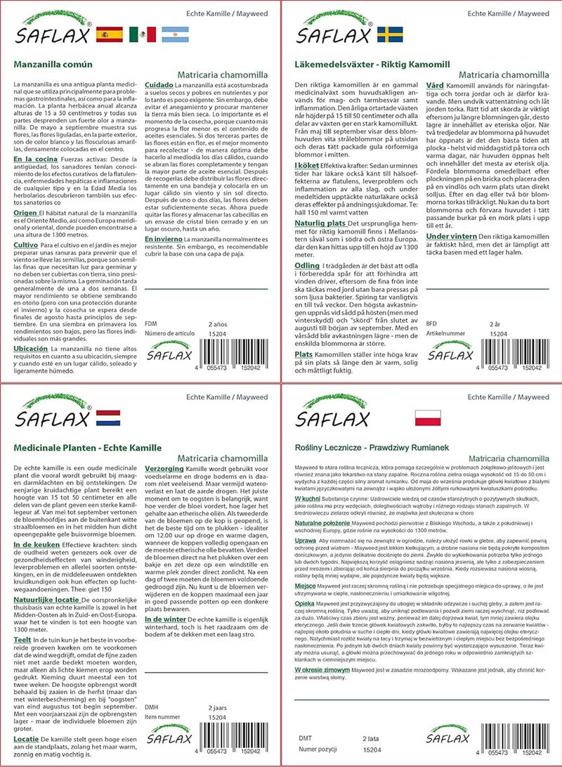 GGOOT Garden in The Bag - Mayweed - 300 Seeds - Matricaria chamomilla - Image 4