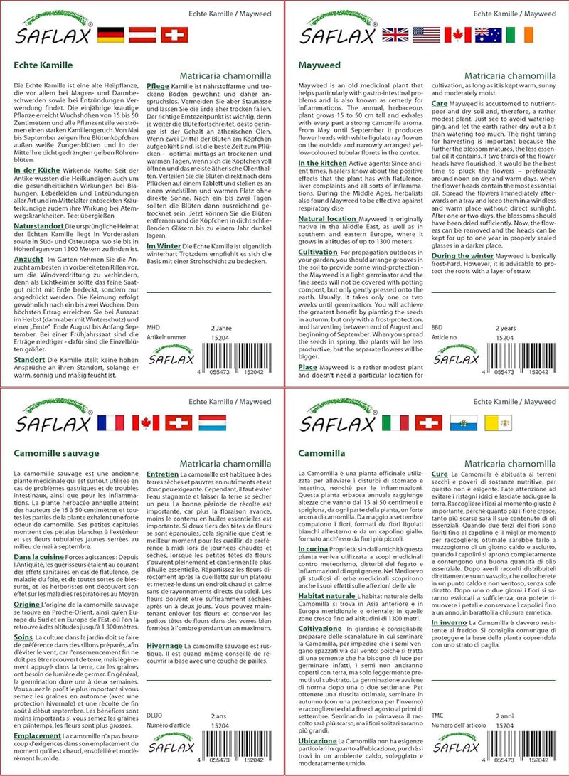 GGOOT Garden in The Bag - Mayweed - 300 Seeds - Matricaria chamomilla - Image 3