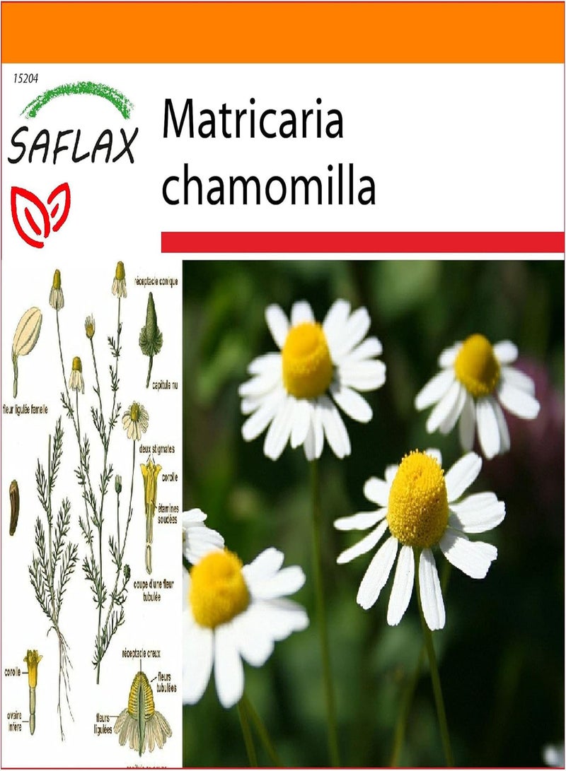 GGOOT Garden in The Bag - Mayweed - 300 Seeds - Matricaria chamomilla - Image 1