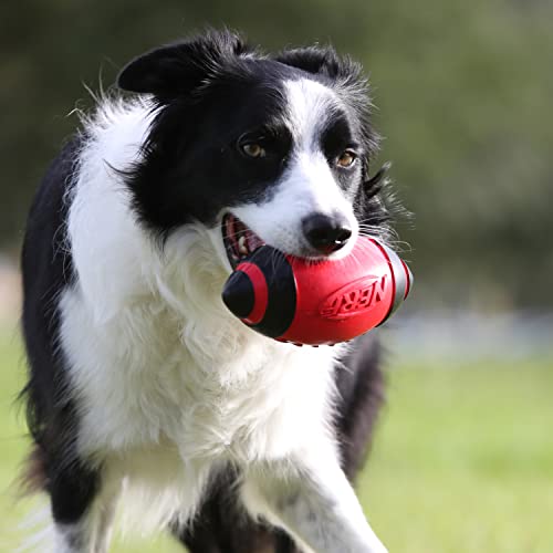 Nerf Dog Rubber Football Dog Toy with Interactive Squeaker, Lightweight, Durable and Water Resistant, 5 Inch Diameter for Medium/Large Breeds, Single Unit, Red - Image 2