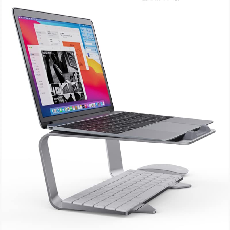 Red Lemon Tabletop Laptop Stand Holder Laptop Holder Portable Detachable Aluminum Alloy Notebook Computer Stand Office Ergonomic Laptops Elevator for Desk P49 Silver