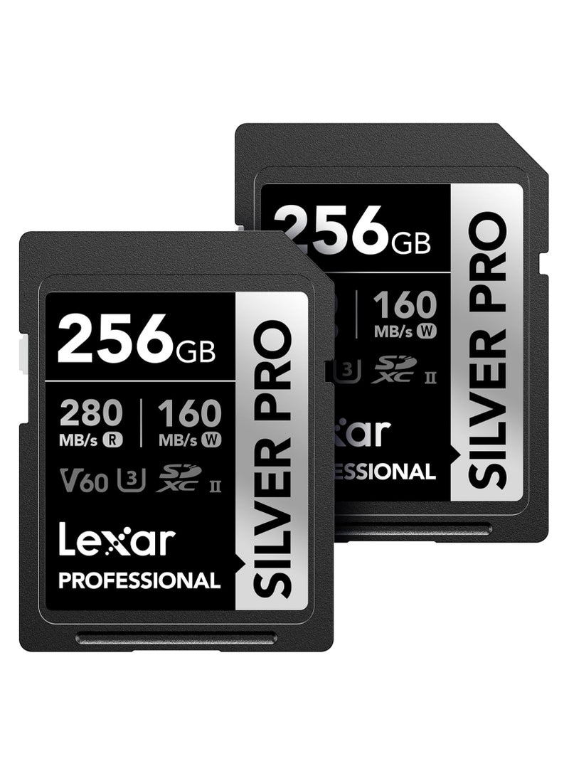 Lexar Professional 256GB (2-Pack) Silver PRO SDXC UHS-II Memory Card, C10, U3, V60, Full-HD & 4K Video, Up to 280MB/s Read, for Professional Photographer, Videographer, Enthusiast (LSDSIPR256G-B2NNU) 256 GB - Image 1