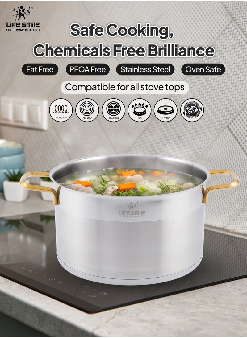 LIFE SMILE 24-Pieces Stainless Steel Cookware Set - Pure 18/10 Premium Stainless Steel Pots and Pans Set - Kitchen Set Compatible with All Stovetops Including Induction - Non-Toxic, 100% PFOA, PTFE & PFOS Free - Oven Safe (Gold) - pzsku/ZA392BAE19BC51F0A8D9CZ/45/_/1735792958/22afa6f0-06e5-45bf-b13b-634ecbf58d49