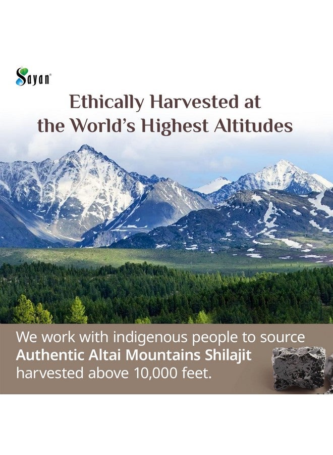 Sayan Pure Shilajit Resin 3.5oz/100g, 660 Servings - Potent Organic Fulvic Acid Supplement - Supports Immune System, Memory, Focus, and Provides Natural Energy, Detox - Vegan, Non-GMO - Image 3