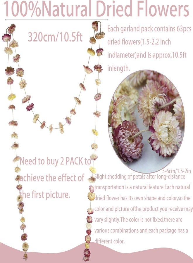 CITYES Dried Flowers Garland Pink Real Daisy Sunflower Garlands 10.5ft 63 Pcs Natural Dried Daisy Flowers Heads Gerbera Daisies Dry Flower Arrangements for Wedding Boho Decor Home Party Wall Hanging - Image 2