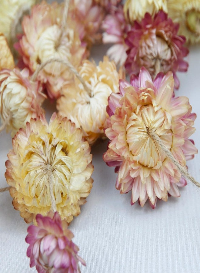 CITYES Dried Flowers Garland Pink Real Daisy Sunflower Garlands 10.5ft 63 Pcs Natural Dried Daisy Flowers Heads Gerbera Daisies Dry Flower Arrangements for Wedding Boho Decor Home Party Wall Hanging - Image 3