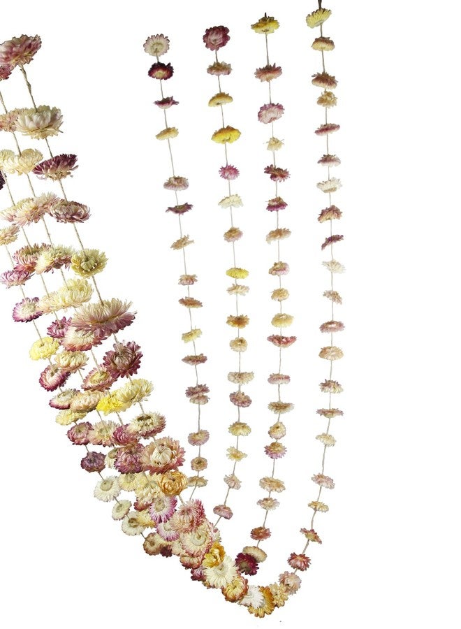CITYES Dried Flowers Garland Pink Real Daisy Sunflower Garlands 10.5ft 63 Pcs Natural Dried Daisy Flowers Heads Gerbera Daisies Dry Flower Arrangements for Wedding Boho Decor Home Party Wall Hanging - Image 1