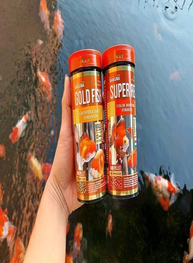 A.D.P. SKR Growth Fast & Jelly Enhancer 100 g. Goldfish Food Mini Floating Pellet 1.5 mm, High Protein 42% Build Big Body & Color Enhancing Aquarium Baby Newborn Fry Tropical Fish Food, Proven 14 Day - Image 5