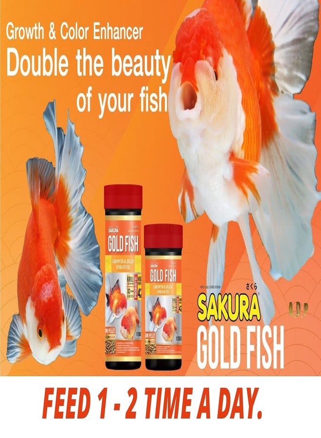A.D.P. SKR Growth Fast & Jelly Enhancer 100 g. Goldfish Food Mini Floating Pellet 1.5 mm, High Protein 42% Build Big Body & Color Enhancing Aquarium Baby Newborn Fry Tropical Fish Food, Proven 14 Day - Image 4