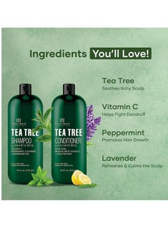 Botanic Hearth Botanic Hearth Tea Tree Shampoo and Conditioner Set - with 100% Pure Tea Tree Oil, for Itchy and Dry Scalp, Sulfate/ Paraben Free - for Men and Women - 16 fl oz each  - Image 2