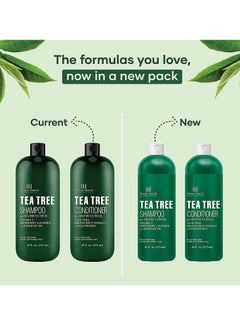 Botanic Hearth Botanic Hearth Tea Tree Shampoo and Conditioner Set - with 100% Pure Tea Tree Oil, for Itchy and Dry Scalp, Sulfate/ Paraben Free - for Men and Women - 16 fl oz each  - Image 5