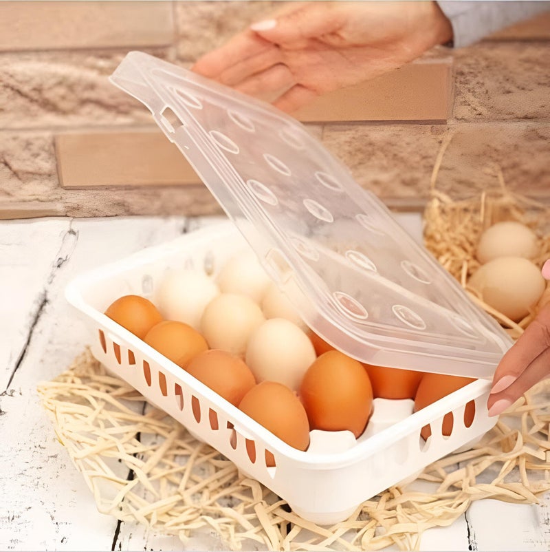 High-Quality Egg Tray - Durable 15-Egg Plastic Holder Perfect for Home Storage, Prevents Cracking and Reduces Waste - Image 1
