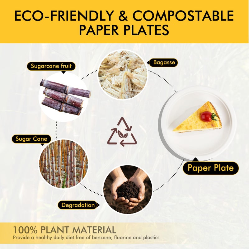 RACETOP Compostable Small Paper Plates 6 Inch [100 Pack], Dessert Plates, Disposable Biodegradable Heavy Duty Paper Plates, Made of Natural Sugarcane Fibers, Unbleached White, Round - Image 4