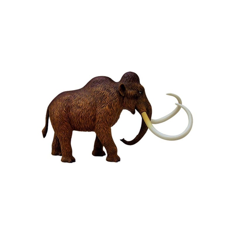 Tedco 4D Vision Woolly Mammoth Anatomy Model - Image 1