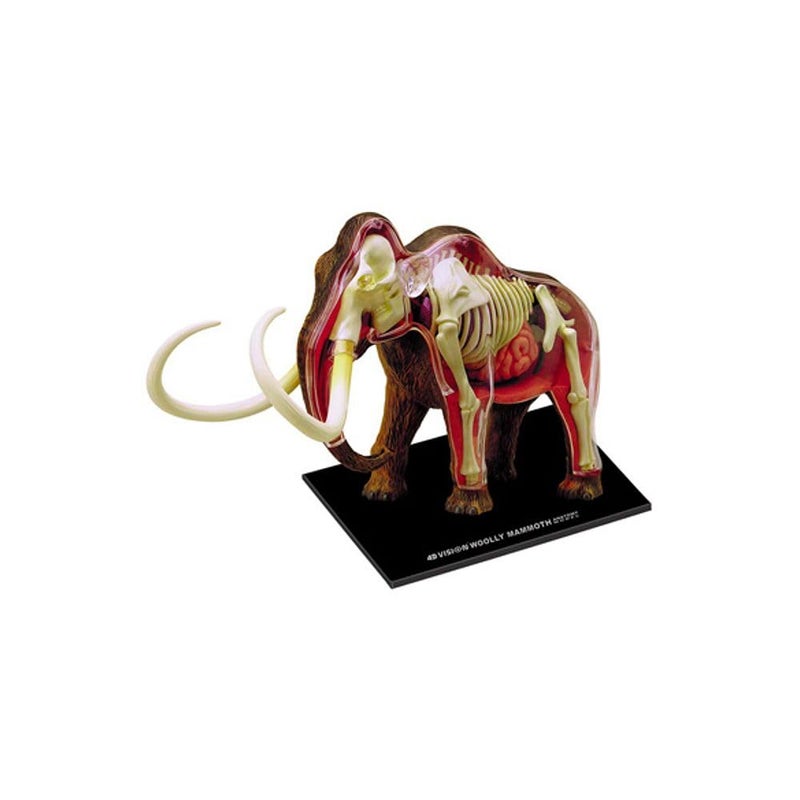 Tedco 4D Vision Woolly Mammoth Anatomy Model - Image 4