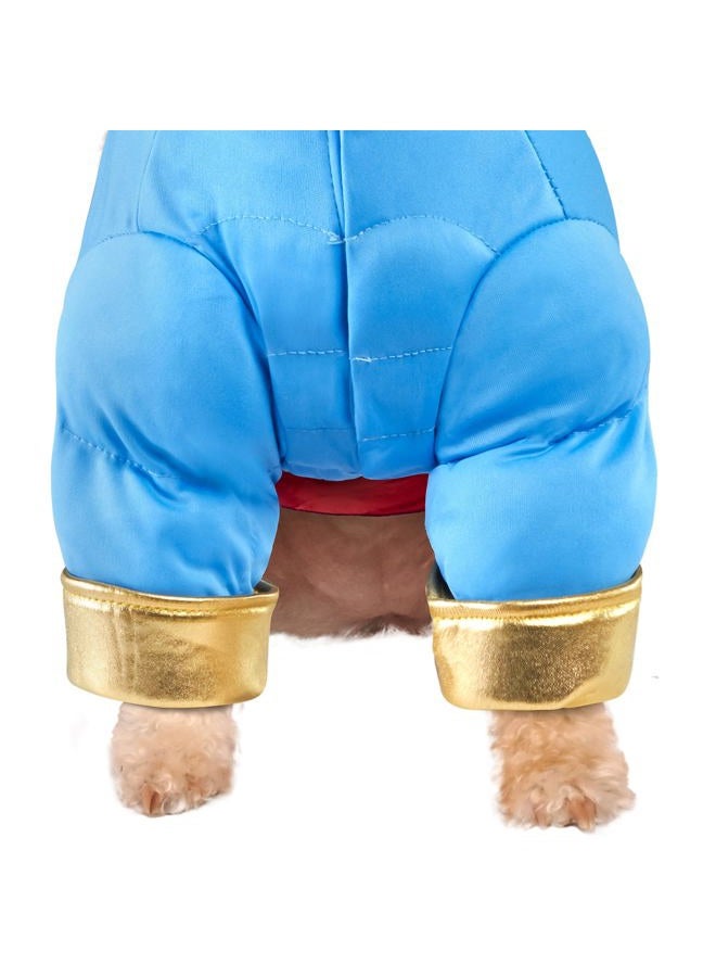 RUBIE'S Disney Aladdin Pet Costume, Genuine, Small - Image 5