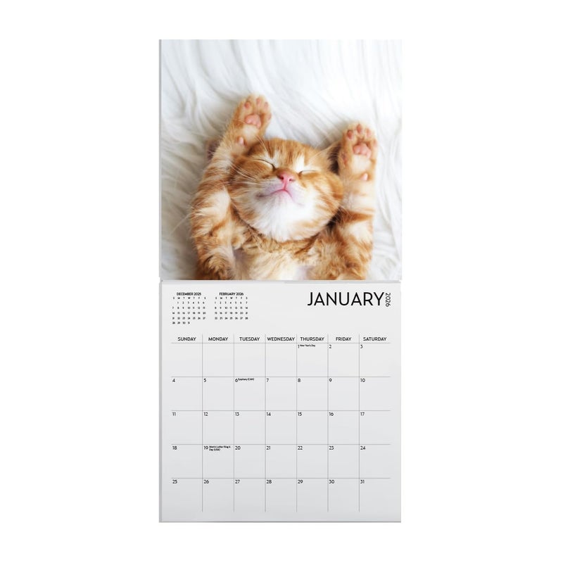ARTICO Kitten Calendar 2026, Kitten Square Large Wall Calendar 12 x 12 inch, Yearly Cat Lover's Calendar - Image 2