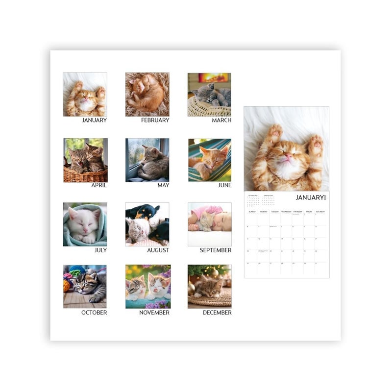 ARTICO Kitten Calendar 2026, Kitten Square Large Wall Calendar 12 x 12 inch, Yearly Cat Lover's Calendar - Image 5