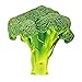 GracesDawn Green Simulation Vegetables red Peppers Broccoli Bitter Melon peas Cabbage Vegetable Stuffed Plush Toys Pillows Lumbar Pillows Ideal Gift for Children Broccoli 185 inches Long - Image 2