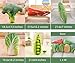 GracesDawn Green Simulation Vegetables red Peppers Broccoli Bitter Melon peas Cabbage Vegetable Stuffed Plush Toys Pillows Lumbar Pillows Ideal Gift for Children Broccoli 185 inches Long - Image 3