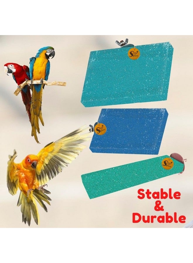 سايج سكوير منصة رمل مربعة مصنوعة من الخشب الطبيعي، مجموعة من ثلاثة (3 * 4، 6 * 4.5 و 2 * 5.5 بوصة) حامل مجثم على شكل مستطيل، ملحقات القفص، صالة الألعاب الرياضية، لعبة مرحة، مناسبة للطيور والببغاوات والبادجي - Image 4