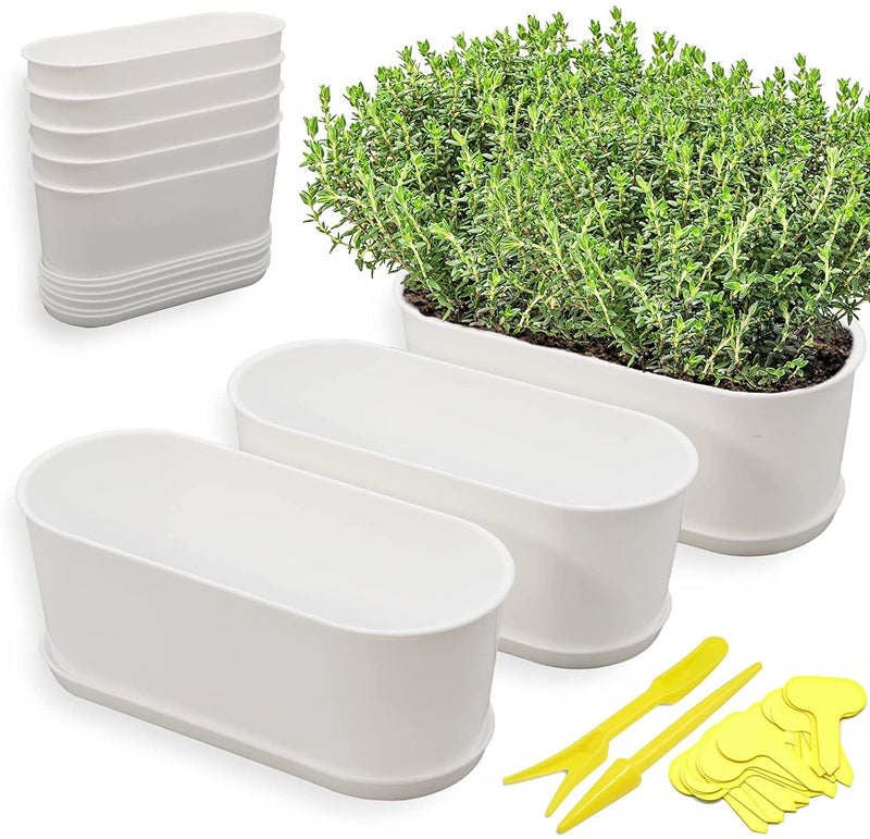 Torfican 5 Set Window Herb Planter Box Rectangular85x35 Inch White Plastic Planters with Multiple Drainage Holes and TraysIndoor Succulent Cactus Mint Flower Pot for WindowsillGarden Balcony