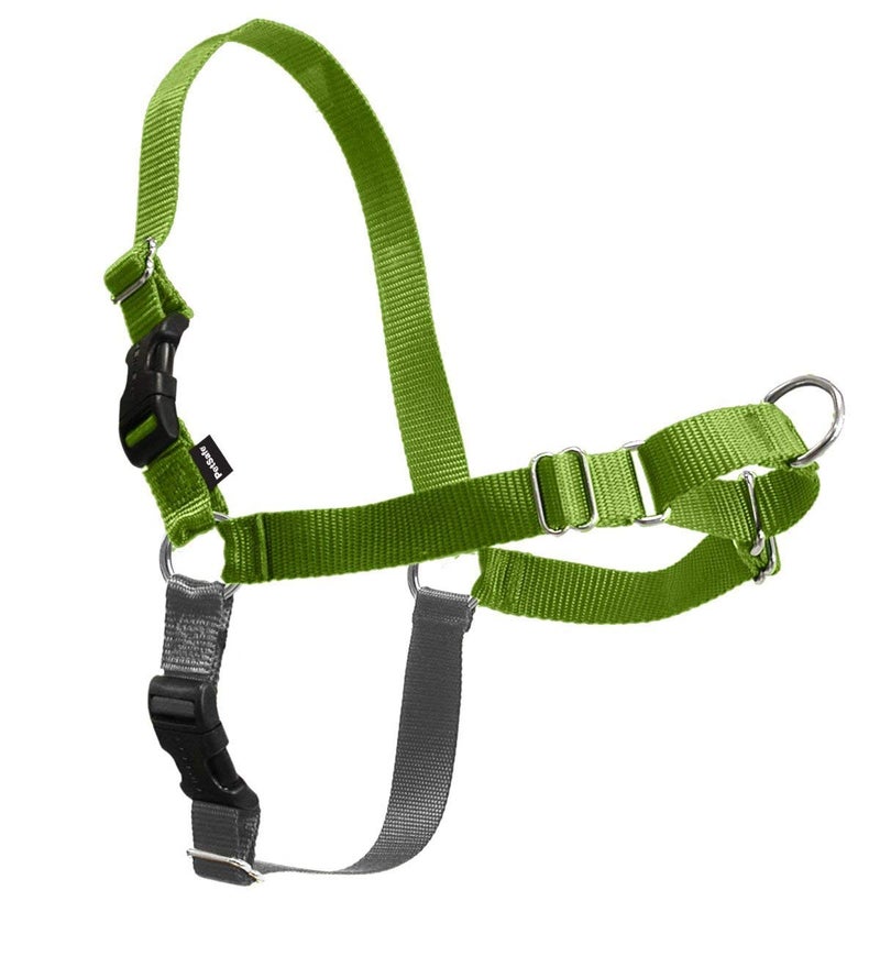 PetSafe Easy Walk Harness for Dogs - Pull-Free Walks - Patented Martingale Loop Design - Front Chest Leash Attachment - Comfort Straps - Breathable Harness Design - Large, Apple Green/Gray - Image 3
