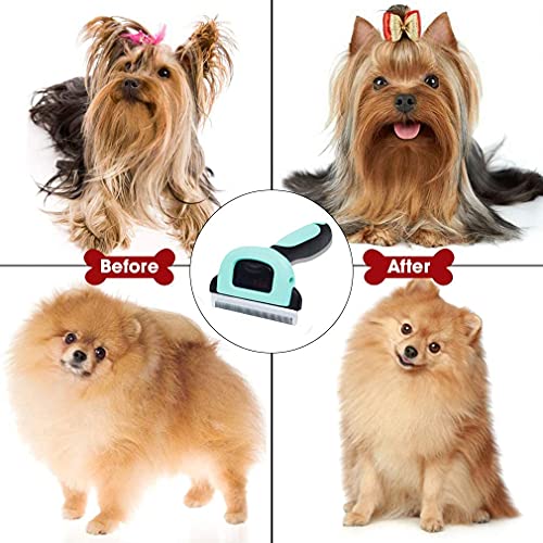 WapaW Pet Grooming Brush Effectively Reduces Shedding by Up to 95% Professional Deshedding Tool for Dogs and Cats (Small) - Image 5