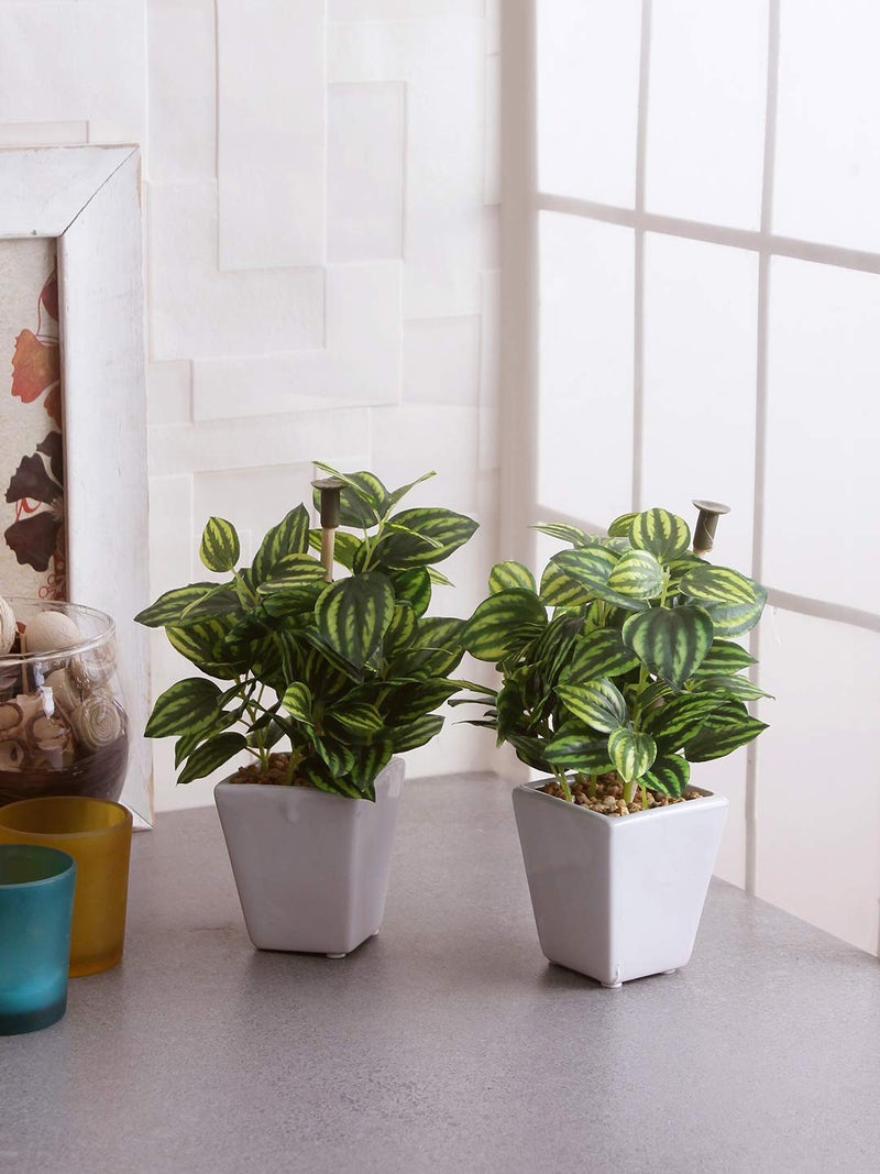 Fourwalls Range Mini Artificial Wandering Plant Ceramic Vase(19 cm Tall, Green, DESIGM-A) - Image 2