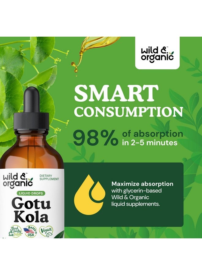 Wild & Organic Gotu Kola Extract Drops - Brain Support with Centella Asiatica Extract - Liquid Gotu Kola Supplement for Focus - Vegan, Sugar & Alcohol-Free Herb Tincture - 4 fl oz - Image 4