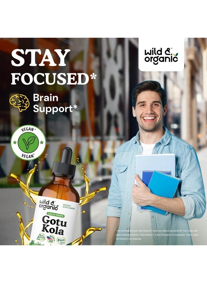 Wild & Organic Gotu Kola Extract Drops - Brain Support with Centella Asiatica Extract - Liquid Gotu Kola Supplement for Focus - Vegan, Sugar & Alcohol-Free Herb Tincture - 4 fl oz - Image 2