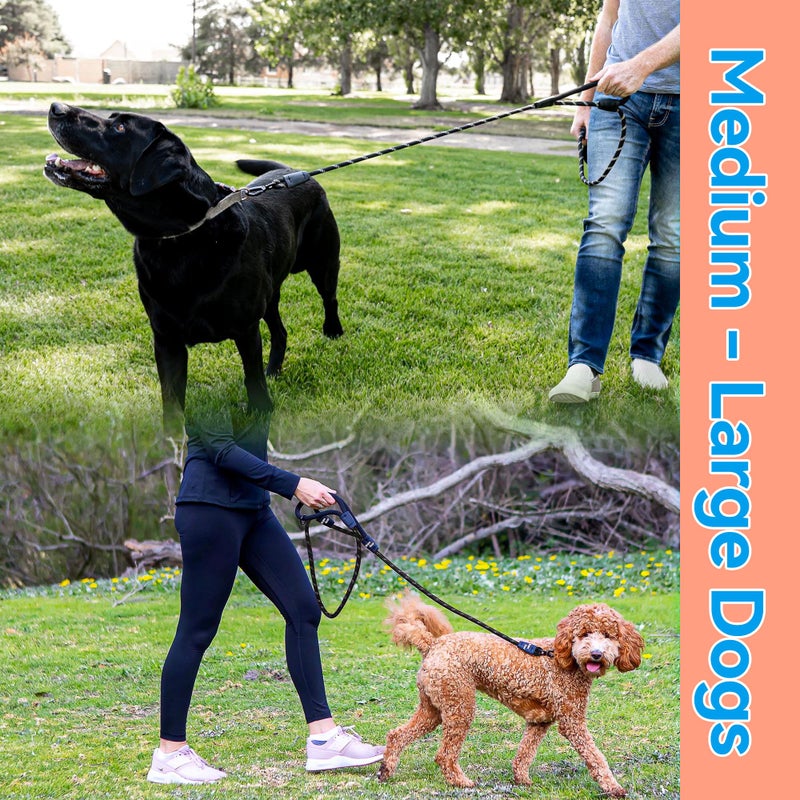 Roam Gear 6 Foot Dog Leash, Two Extra Padded Handles, Heavy Duty Dog Leash for Medium to Large Pets, Highly Reflective, Shock-Absorbing, No Pull Rope Lead, Durable for Walking, Running, Training Lead - Image 3