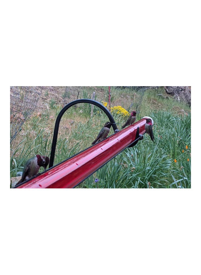 نيبمينينت زجاجة تغذية لطائر الطنان شفاف - Image 5