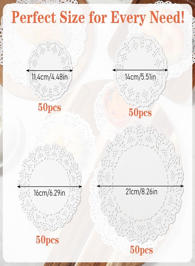 Qulkws 200 Pcs Round Paper Doilies Assorted Sizes 4.5/5.5/6.3/8.3 Inch White Paper Placemats Lace Cupcake Liners Disposable Doily Greaseproof Dessert Plate Mats for Party Table Craft Cakes Desserts Tableware - Image 2