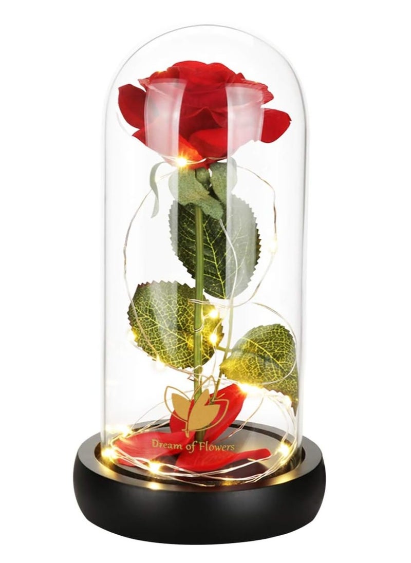 Generic Beauty and The Beast Rose, Rose Flower Gifts for Women, Gifts for Her, Birthday Gifts for Womens, Eternal Rose Artificial Flower Light Up Rose in Glass Dome, Glass Roes Flower Gifts for Her  - Image 1