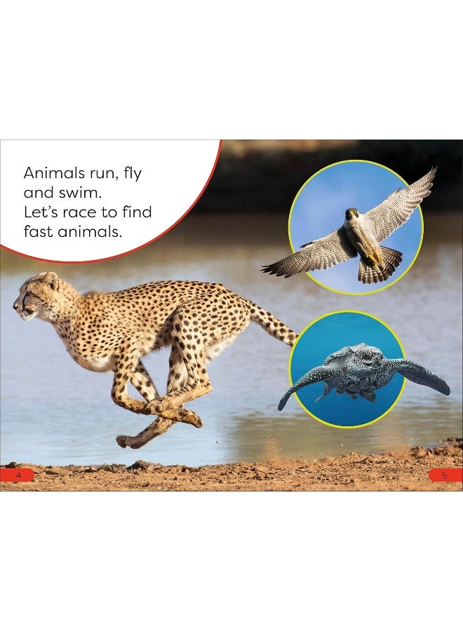 Fast Animals - Image 4
