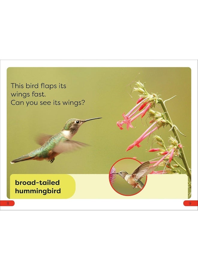 Fast Animals - Image 5