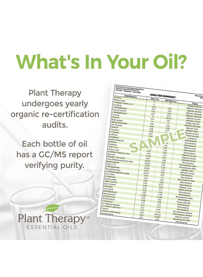 Plant Therapy Organic Bergamot Essential Oil 30 mL (1 oz) 100% Pure, Undiluted, Therapeutic Grade - Image 3