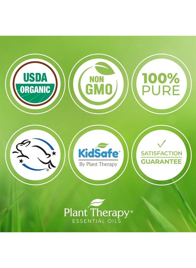 Plant Therapy Organic Bergamot Essential Oil 30 mL (1 oz) 100% Pure, Undiluted, Therapeutic Grade - Image 2