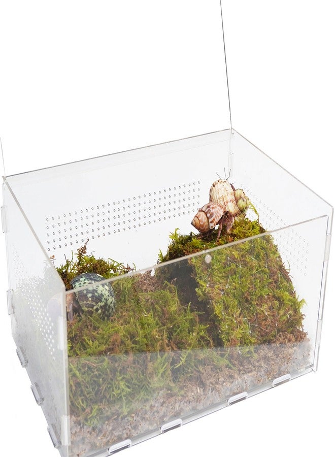 Begeterday Hermit Crab Cage, Hermit Crab Starter Kit with Tank and 2QT Substrate and a 8 Inch Hideout - Image 1