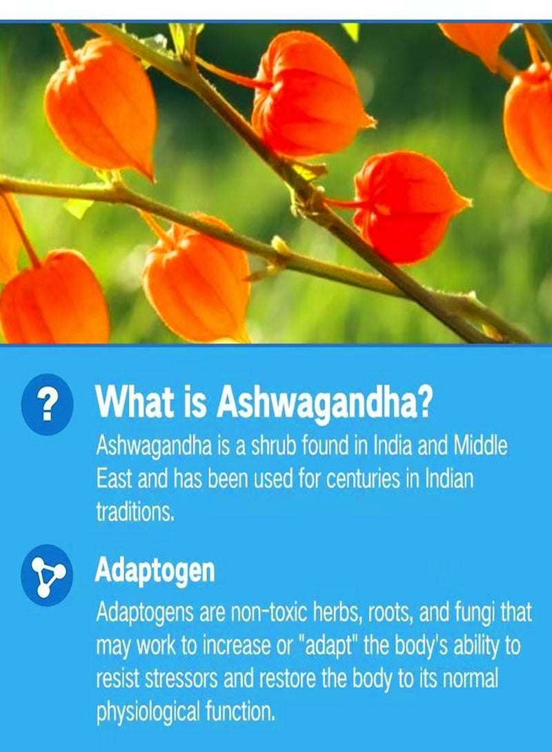 وينز تاون علكة التوت المختلطة الخالية من الغلوتين من أشواغاندا تقلل من التوتر وتدعم النوم وقوة العضلات فيتامين د/ج صمغ نباتي 60 قطعة - Image 4