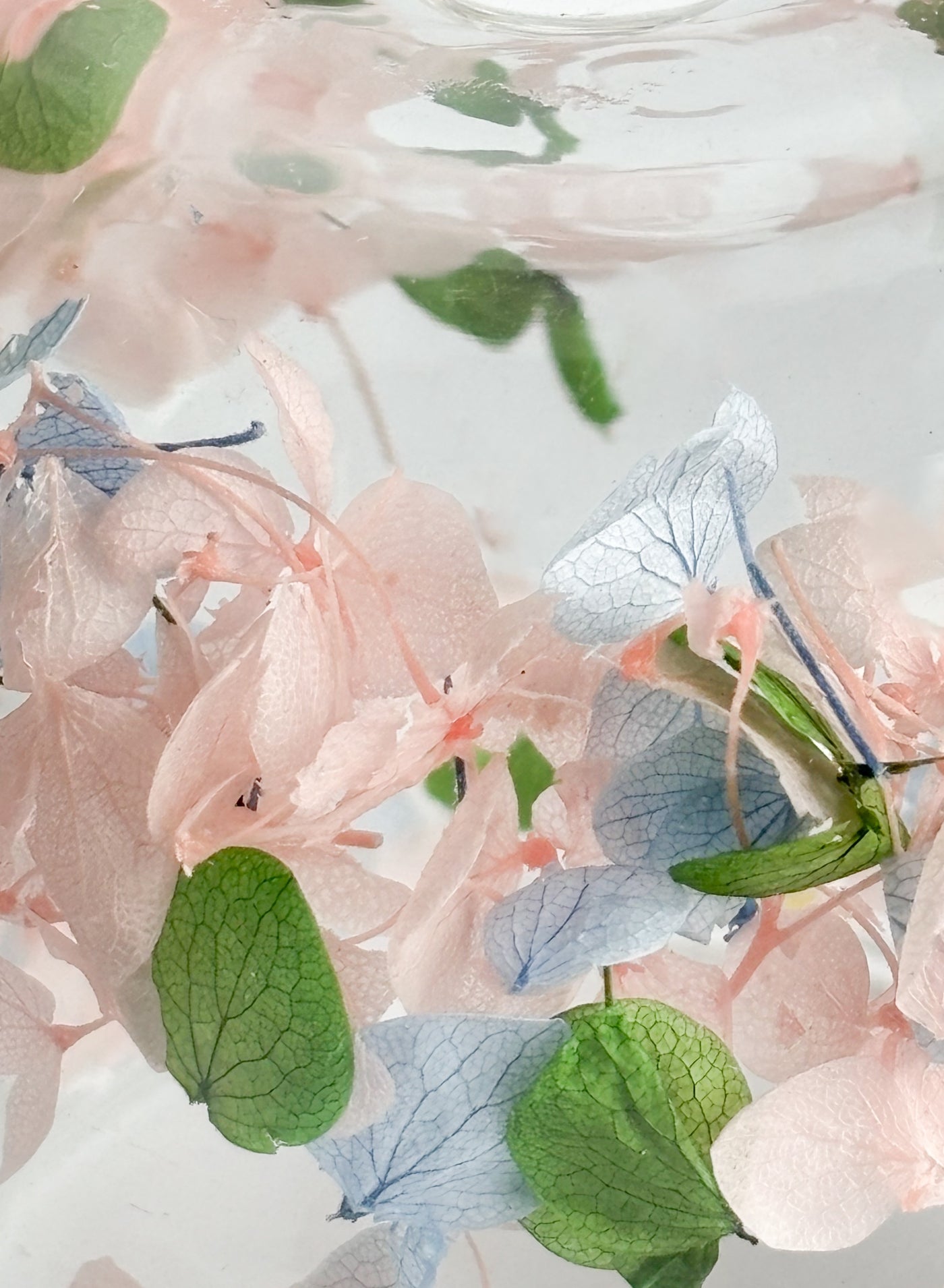 كوب قهوة زجاجي معزول مزدوج الجدار