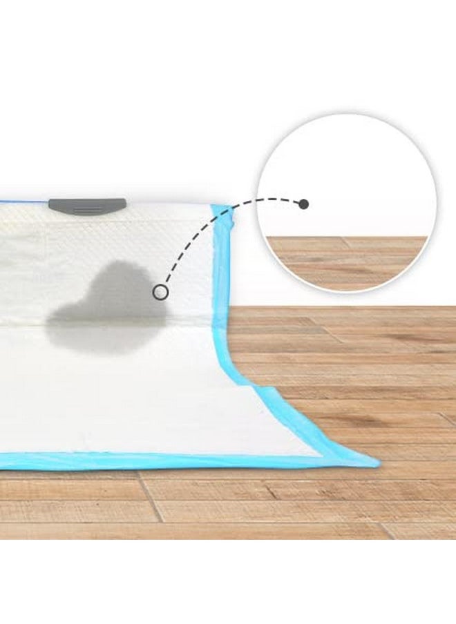 PICO Pico Stand Up Vertical Wall Dog Puppy Pee Pad Holder - Indoor Splash Guard for Potty Training - Potty Pad Holder with Easy Clean up for Leg Lifting Small and Medium Dogs Potty Wall  - Image 2
