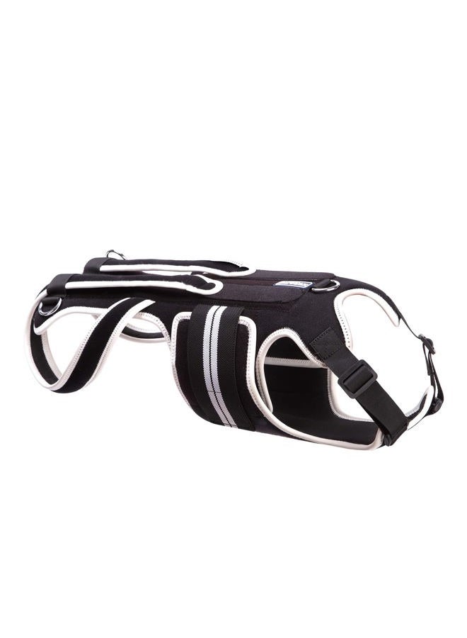 LufeLux Dog Back Brace for IVDD, Arthritis, Back Pain, Surgical Recovery and Rehabilitation, Dachshund Back Pain Relief, IVDD Harness, Luxating Patella Dog Brace (Large) - Image 2