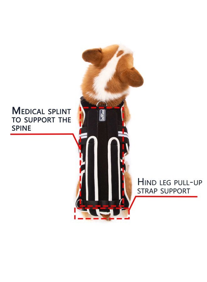 LufeLux Dog Back Brace for IVDD, Arthritis, Back Pain, Surgical Recovery and Rehabilitation, Dachshund Back Pain Relief, IVDD Harness, Luxating Patella Dog Brace (Large) - Image 4