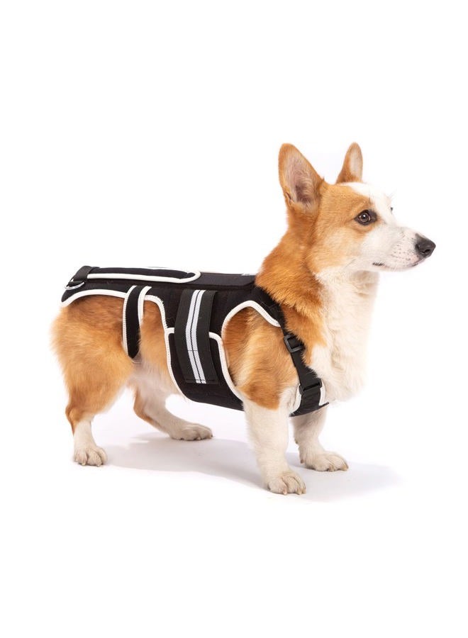LufeLux Dog Back Brace for IVDD, Arthritis, Back Pain, Surgical Recovery and Rehabilitation, Dachshund Back Pain Relief, IVDD Harness, Luxating Patella Dog Brace (Large) - Image 1
