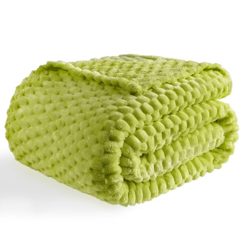 Bnuitland Fruit Green Flannel Throw Blanket 50X40 inches 300 GSM Fleece Cozy Warm Soft Lightweight Bed Sofa Blanket for Babys and Pets Suitable for All Seasons - Image 1