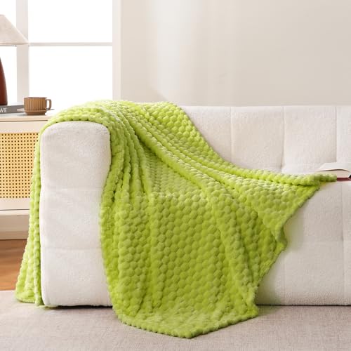 Bnuitland Fruit Green Flannel Throw Blanket 50X40 inches 300 GSM Fleece Cozy Warm Soft Lightweight Bed Sofa Blanket for Babys and Pets Suitable for All Seasons - Image 3